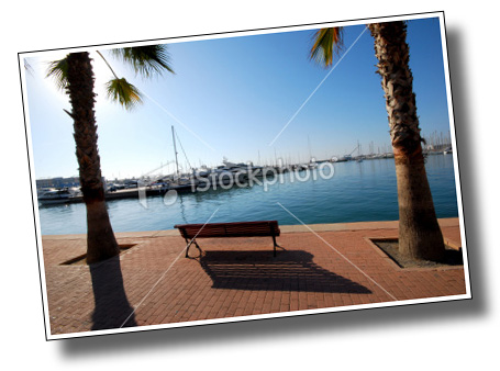 bench between two palm trees at Alicante, Spain, August ภาพแรกที่ผ่าน และมีคนดาวน์โหลดแล้ว
